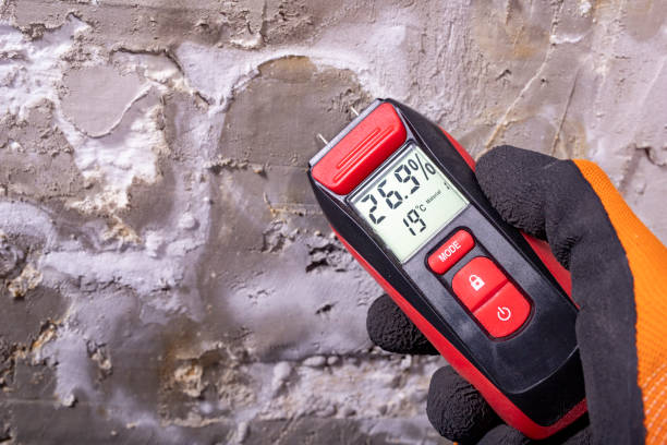 Best Mold Remediation Experts  in Des Moines, WA