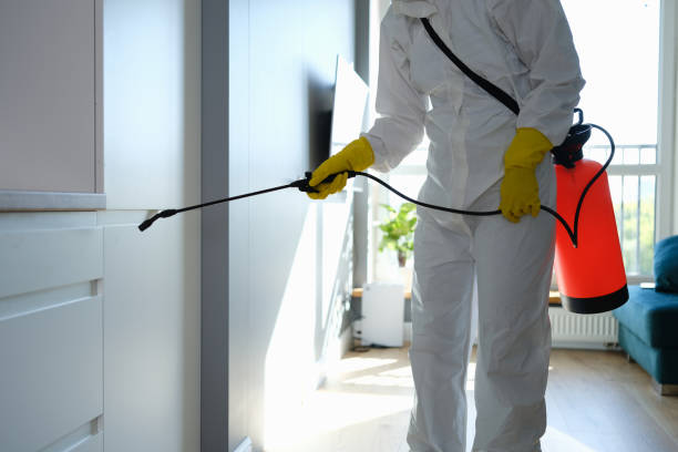 Best Emergency Mold Removal  in Des Moines, WA